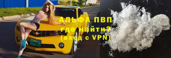 стафф Арсеньев