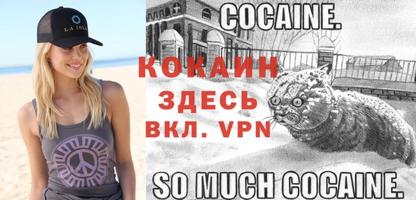 амф Аркадак