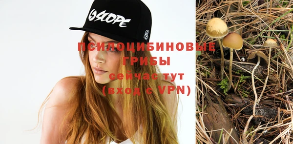 амф Аркадак