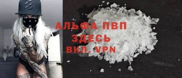стафф Арсеньев